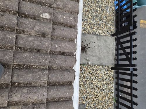 Winterbourne Bird Removal