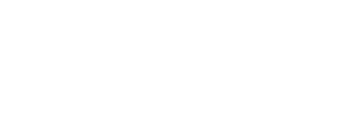 Warrior Codex