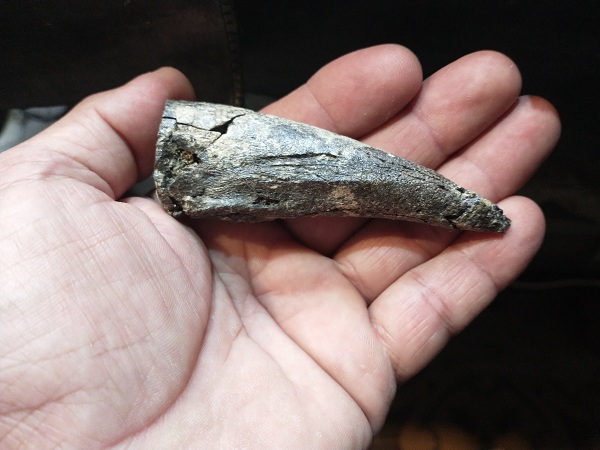 UNA GARRA PREHISTÓRICA