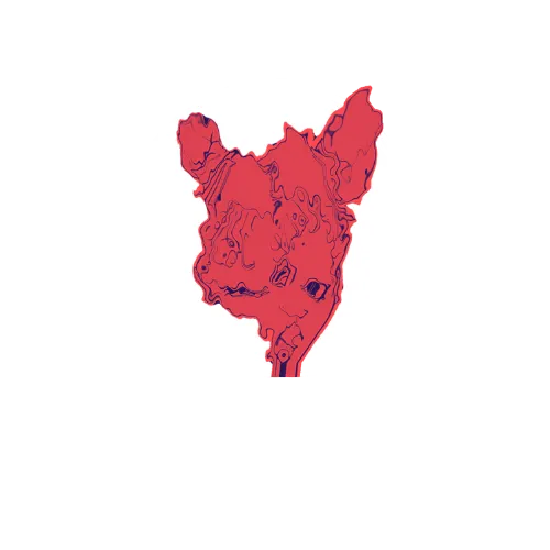 YWB Music Group Logo