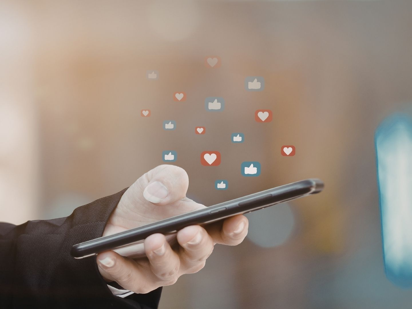 blinds shutters websites