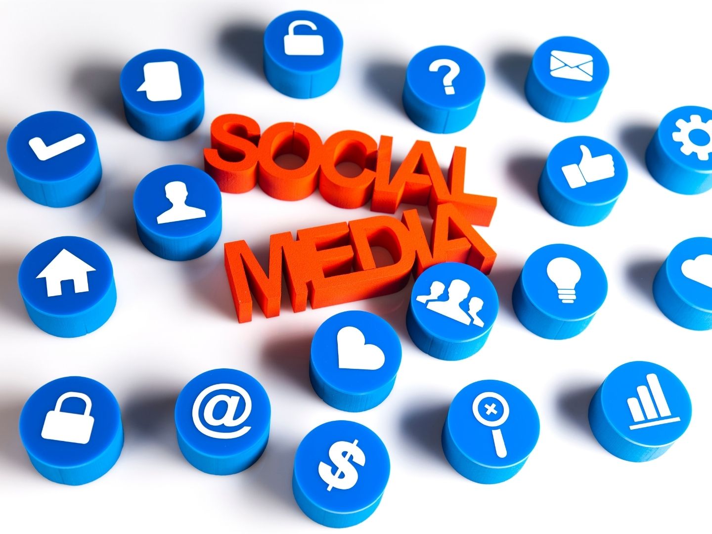 blinds shutters websites