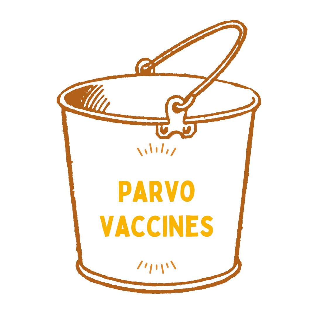 Parvovirus Vaccines outcome target