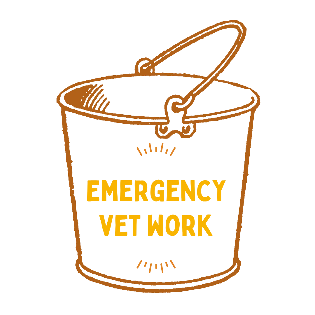 Emergency Vet Surgery outcome target