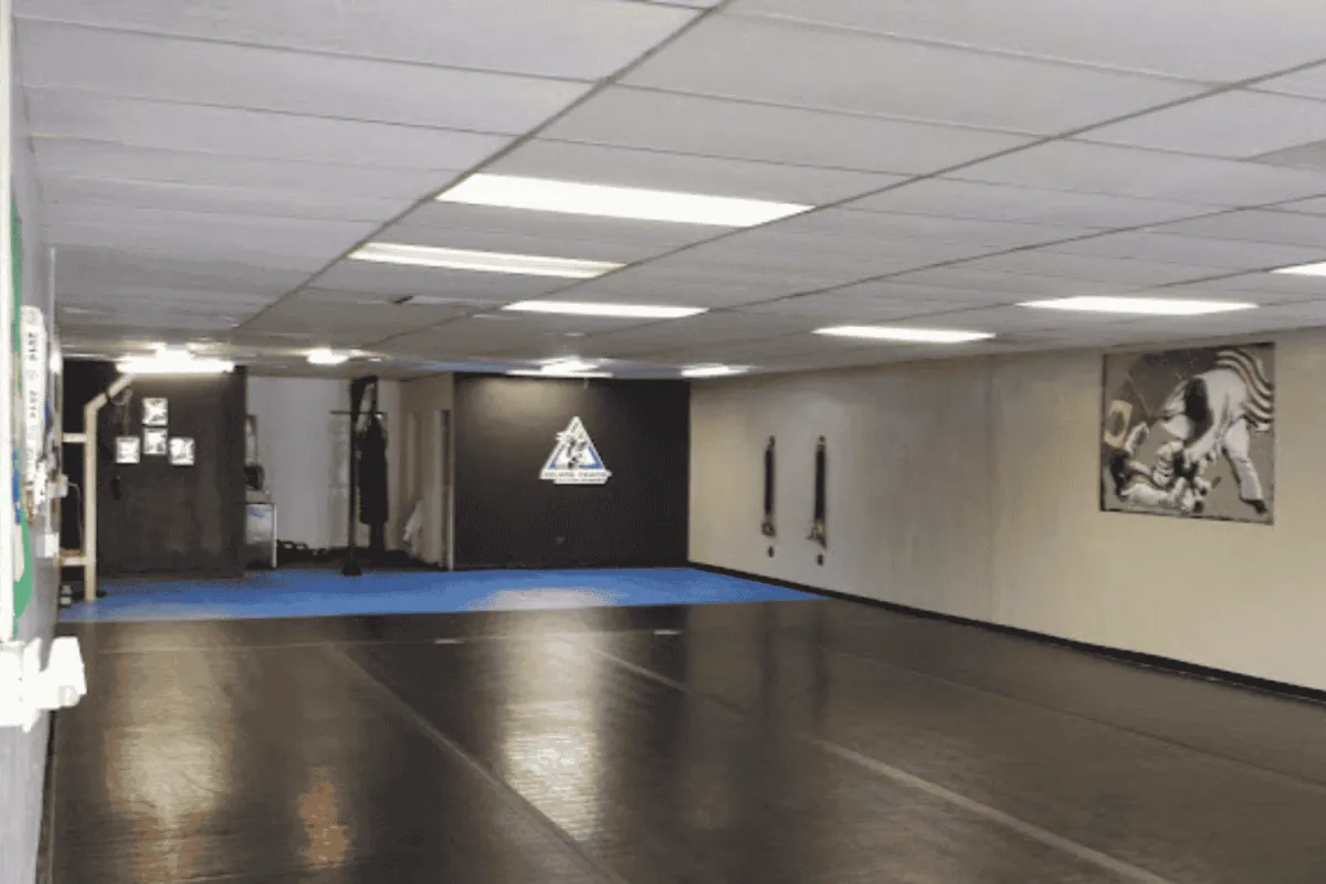 Vibrant Jiu-Jitsu