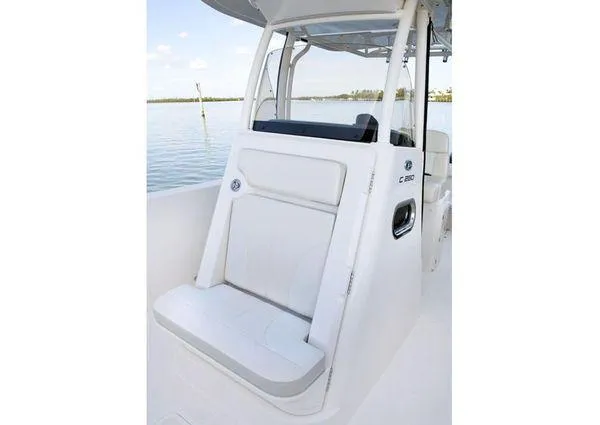 2013 Pursuit C 260 Center Console