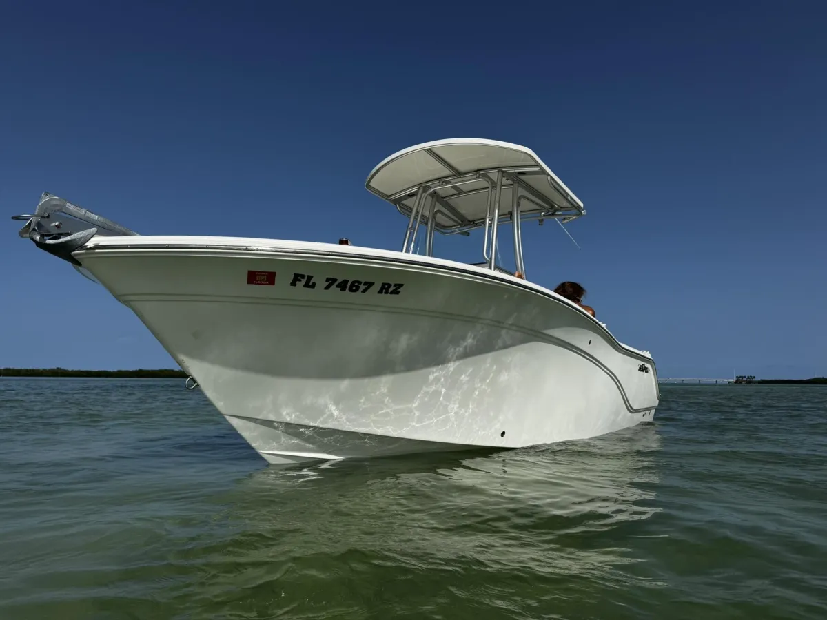 2011 Sea Fox 226 Commander