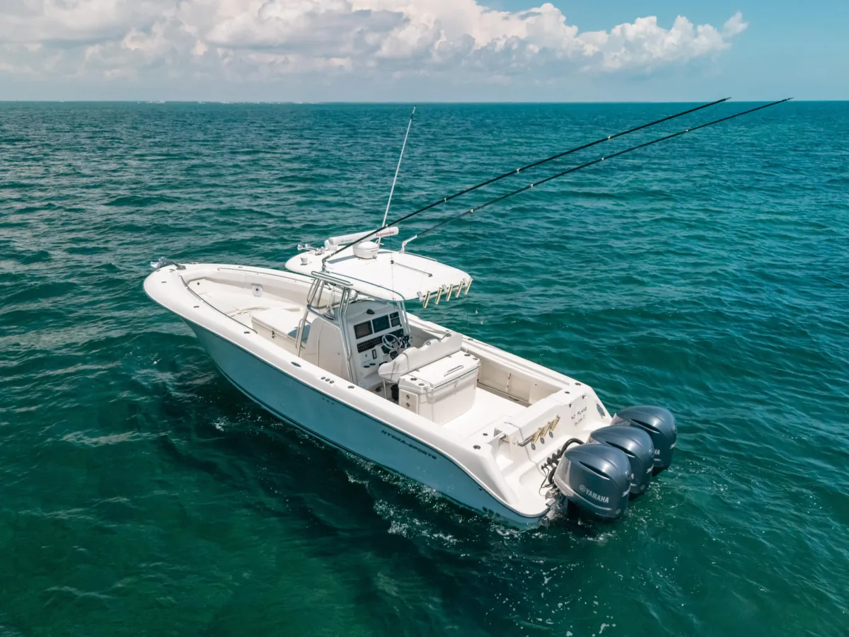 2008 Hydra-Sports Vector 33