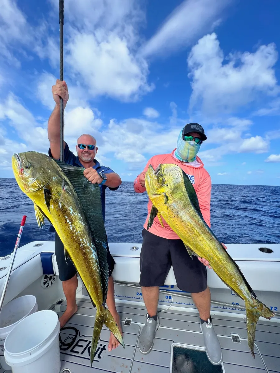 Mahi are biting