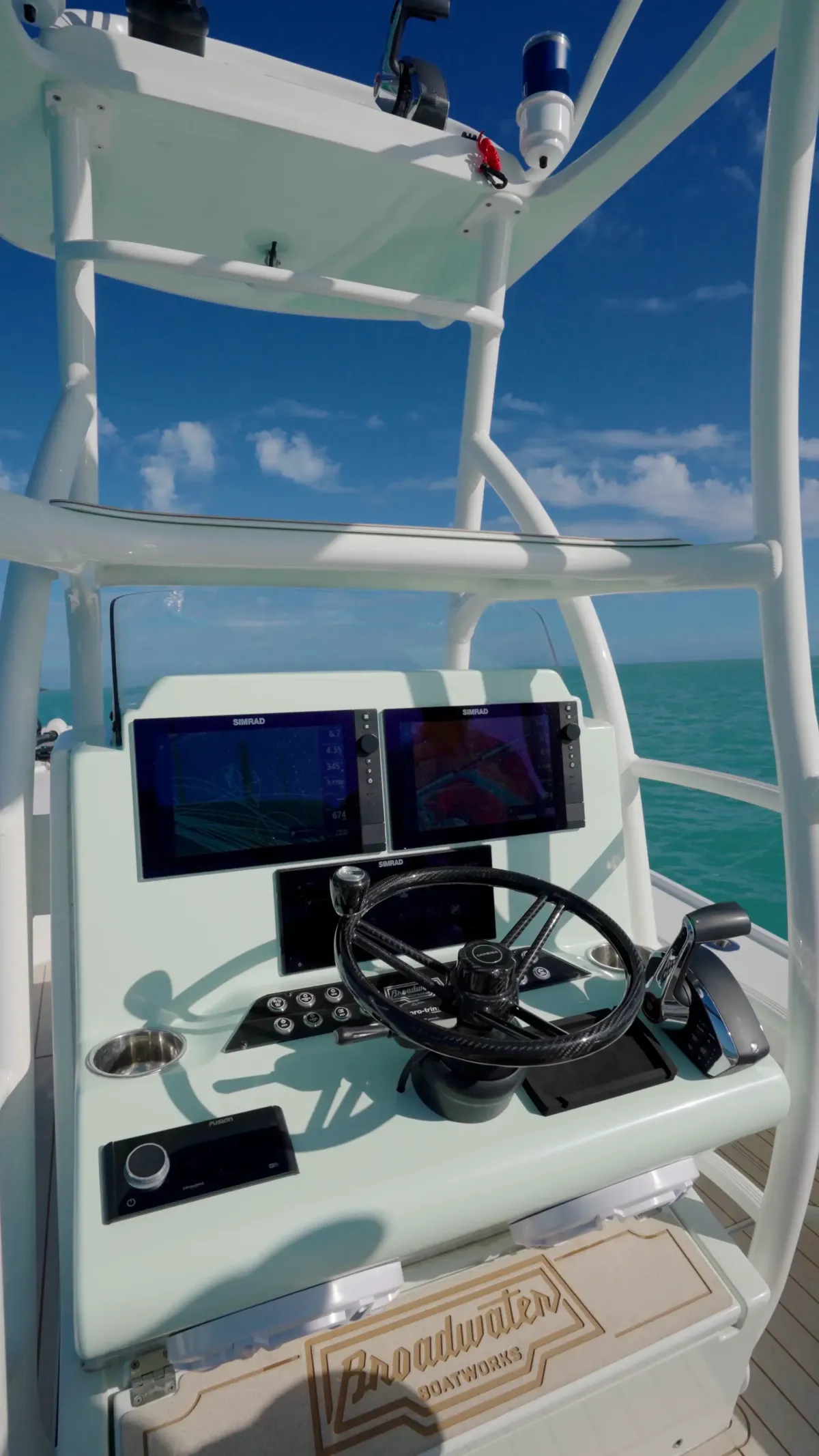 broadwater bay cat with tower
