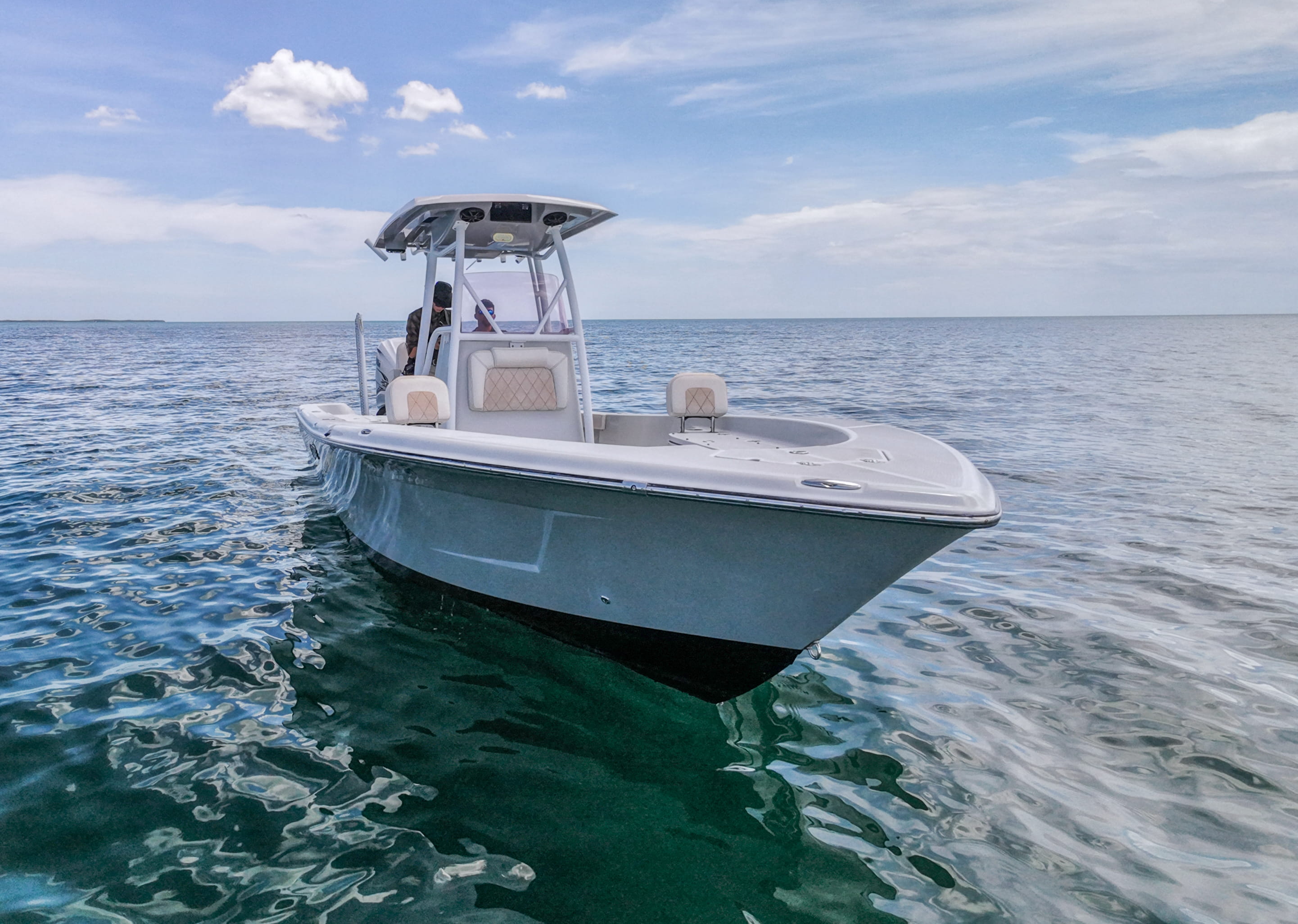 2019 Blue Wave 2800 Pure Hybrid