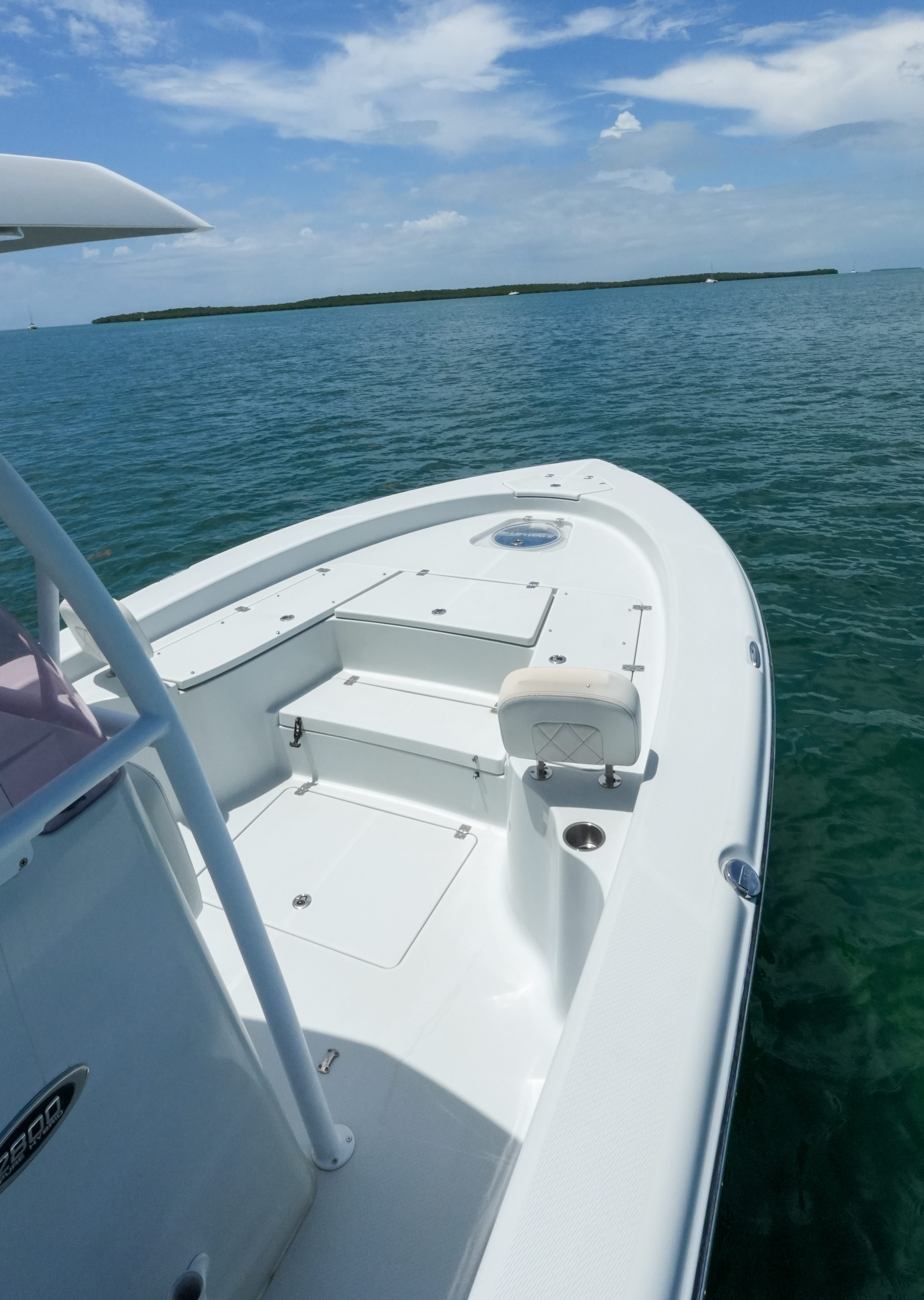2019 Blue Wave 2800 Pure Hybrid