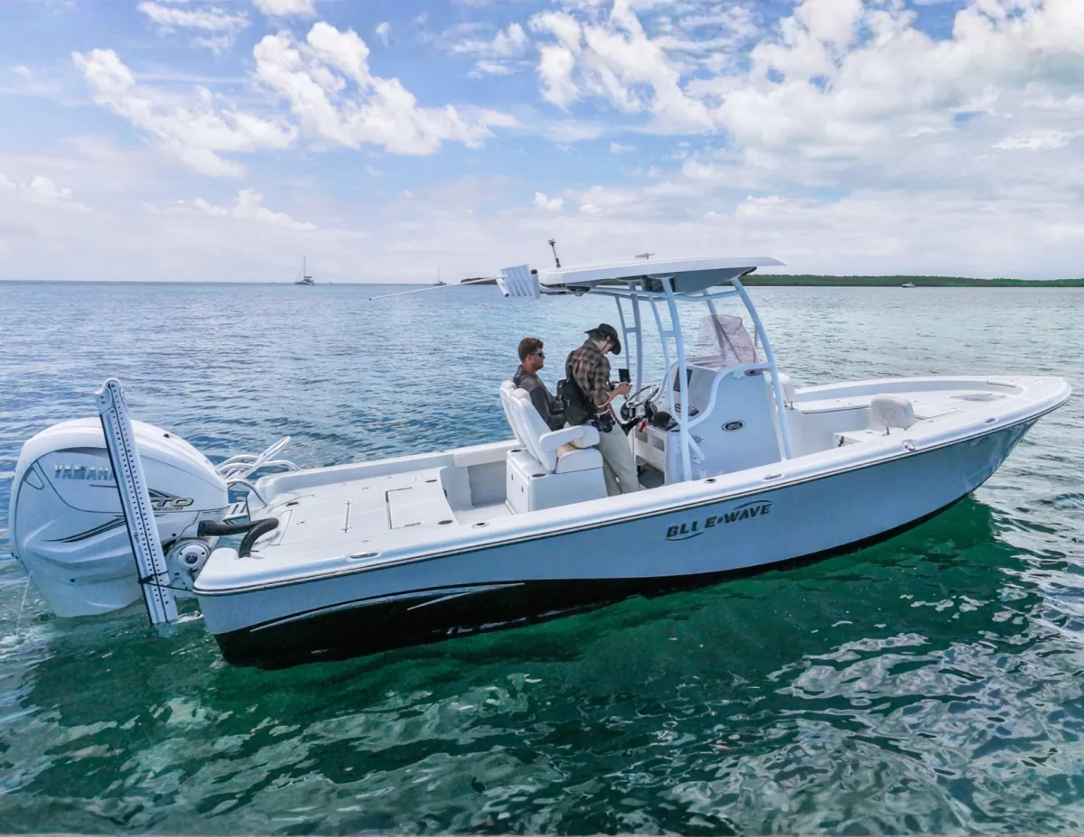2019 Blue Wave 2800 Pure Hybrid 