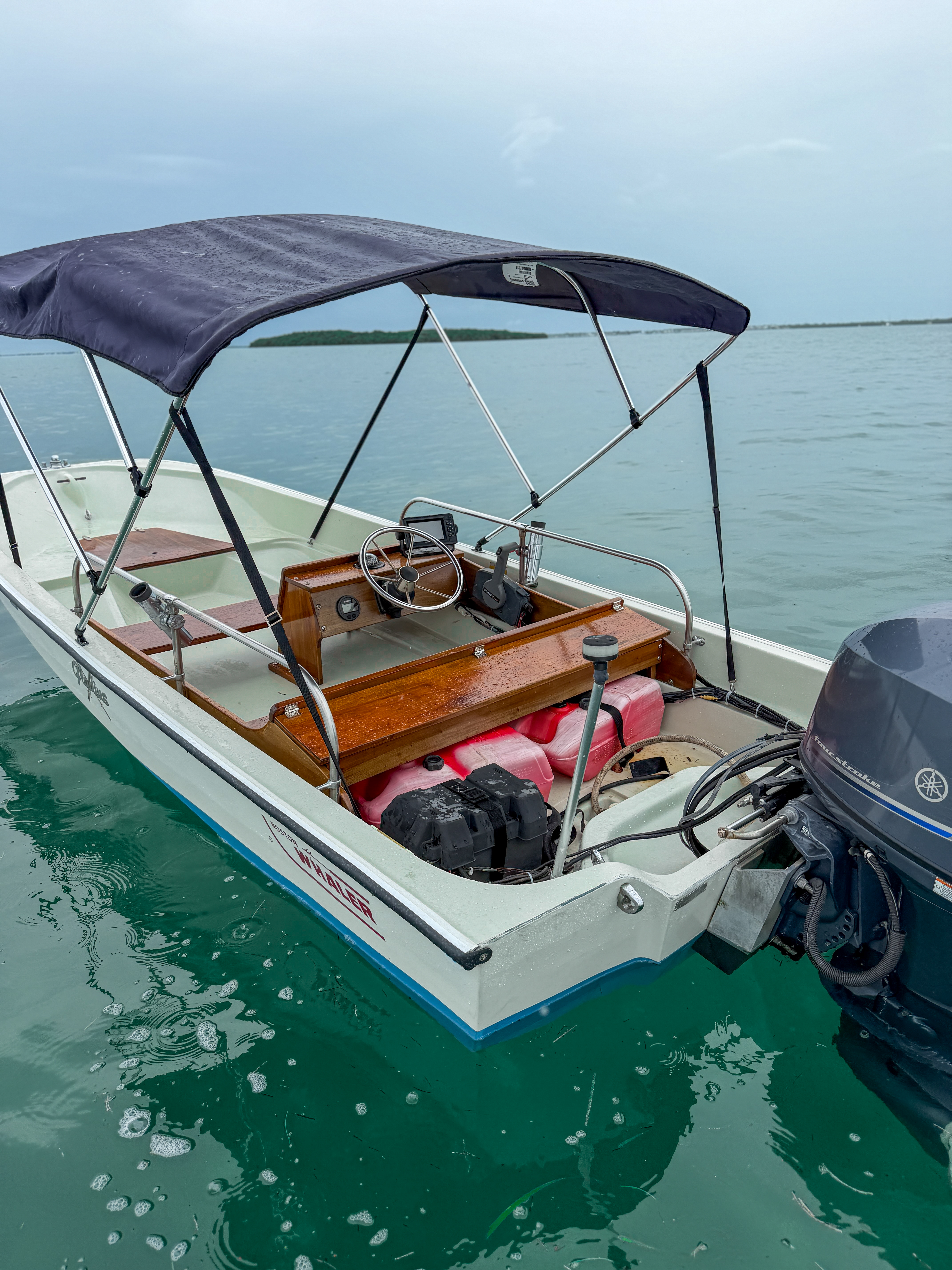 1983 Boston Whaler 15