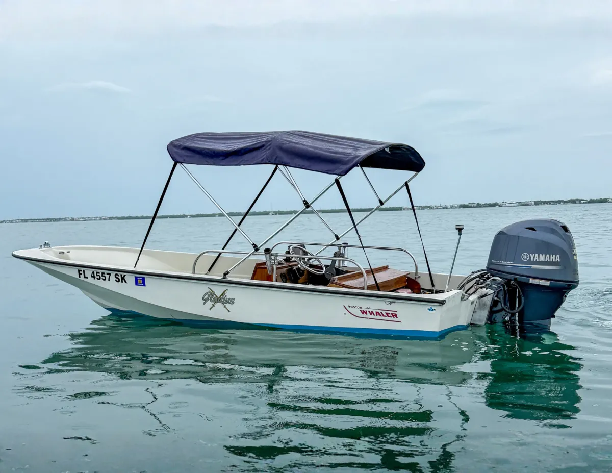1983 Boston Whaler 15