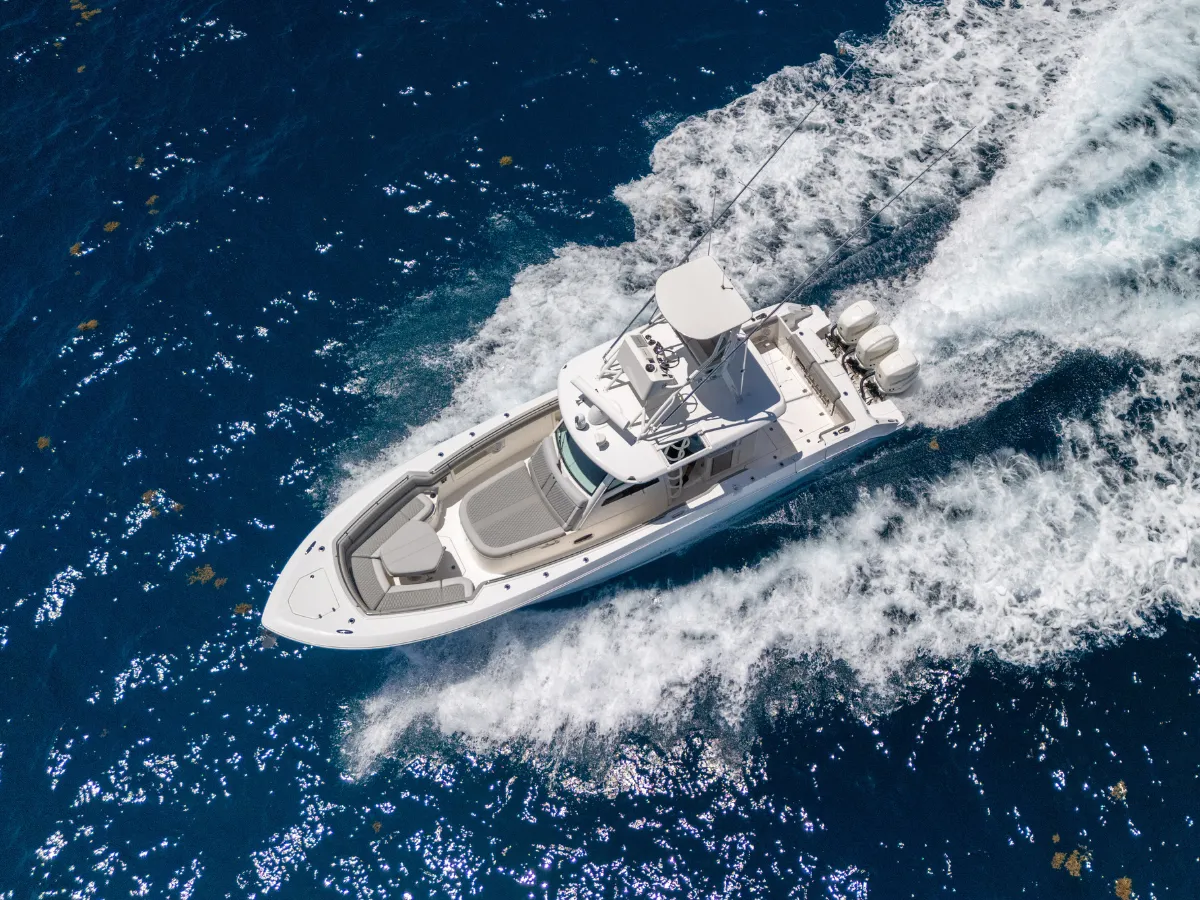 boston whaler
