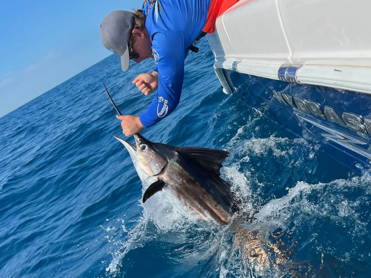 Offshore excursion