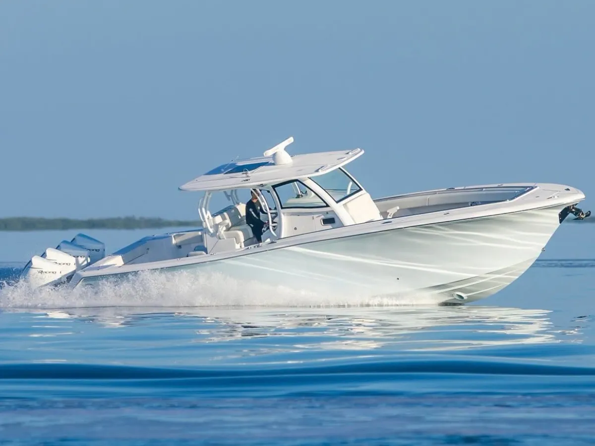 Blackwater 41 Performance Fish