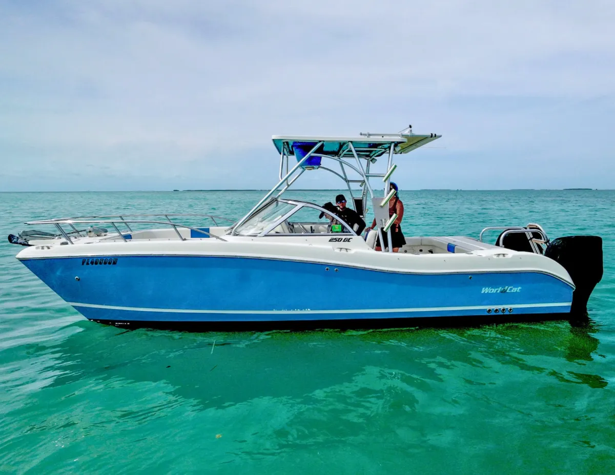 2006 World Cat 250 DC