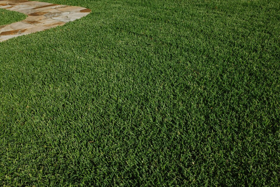  Artificial Turf Installation
