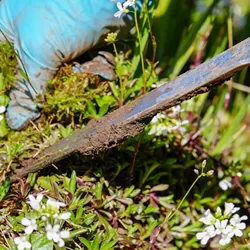 Evaluate and plan your garden space