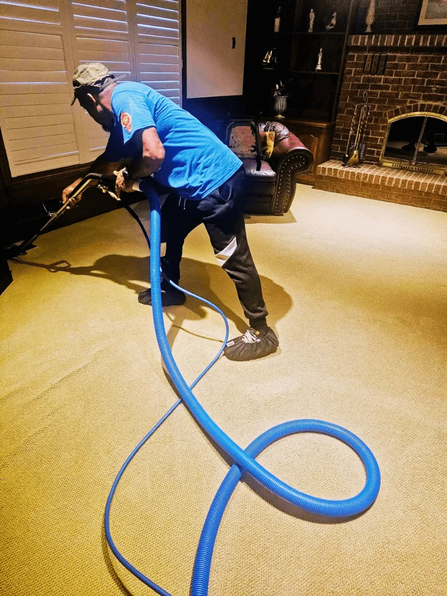 Stewandy cleaning technician professionally cleaning a carpet in a Peel Region home