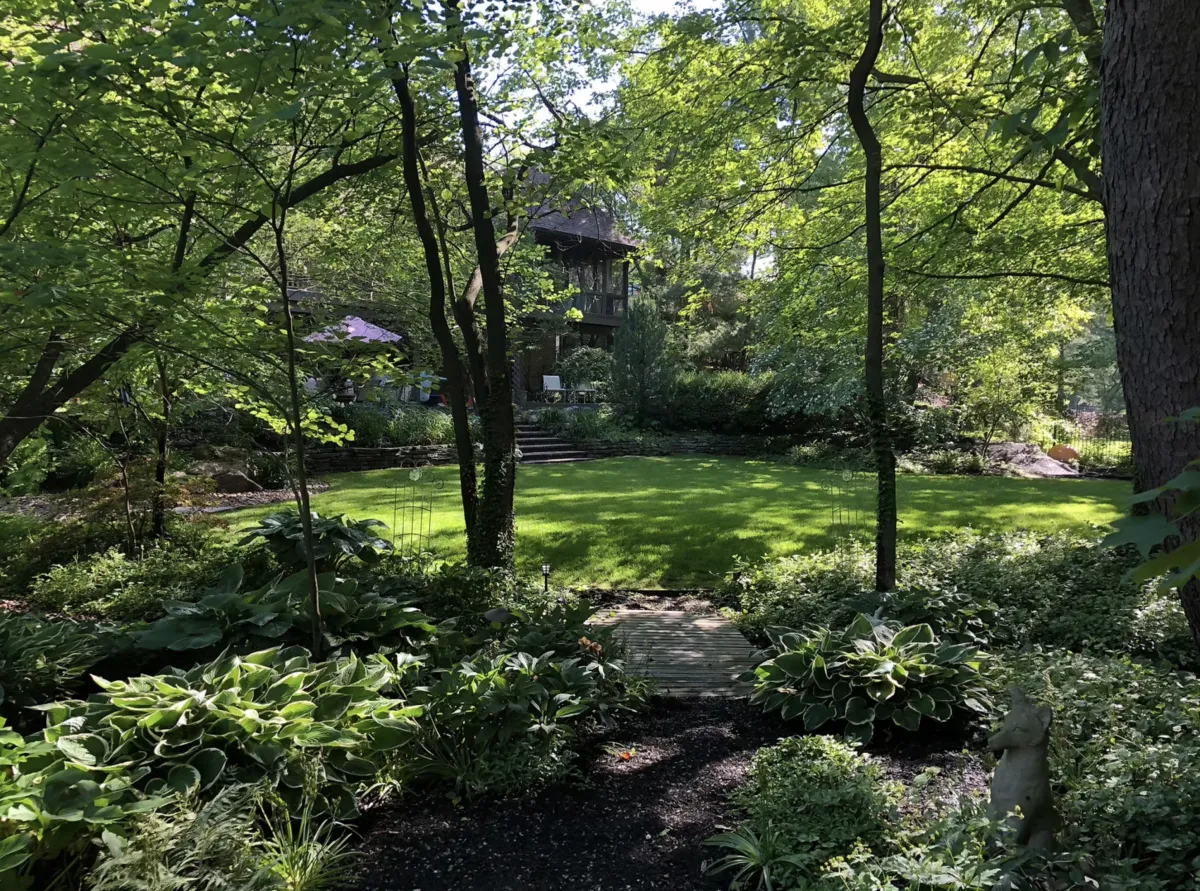Transform Your Yard with Expert Outdoor Space Maintenance Tips