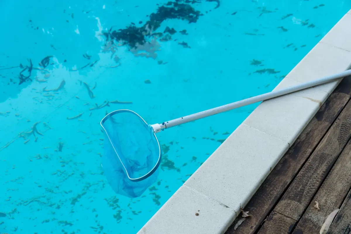 Pool Service Brevard County FL — Oak Hill backyard pool — Knight Institutes, LLC