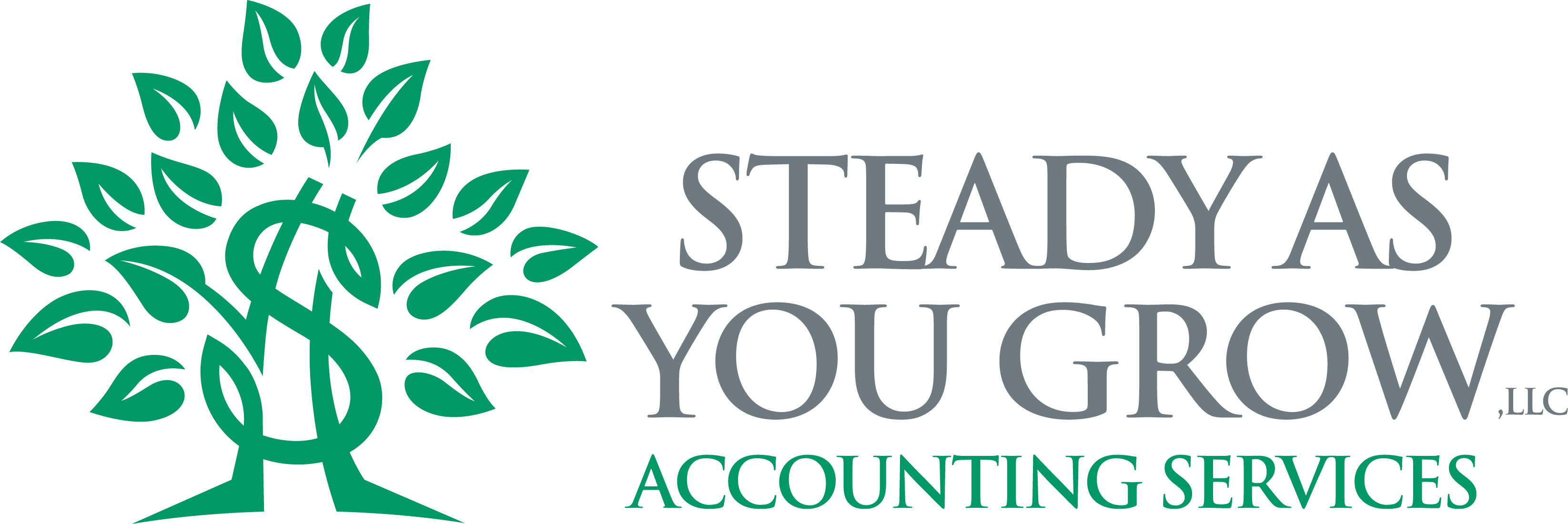Steady as you grow accounting firm