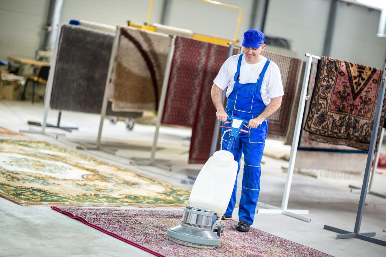 Lan's Lapels Area Rug Cleaning