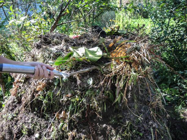 Yard Waste/Brush Removal Wilmington, DE