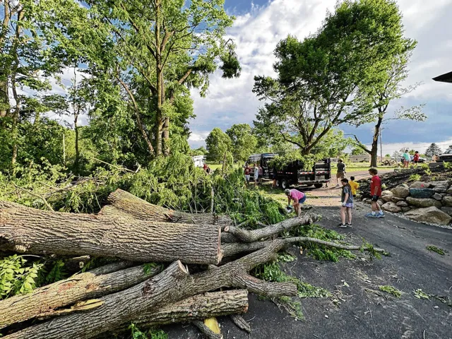 Storm damage cleanup service in Wilmington DE