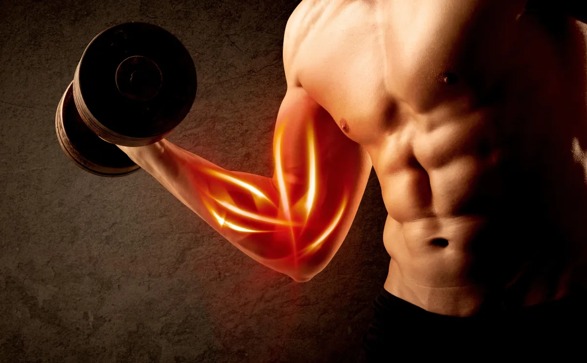 Your Ultimate Guide to Gaining Muscle: Real Talk from Someone Who's Been There — Empire Gym Effingham