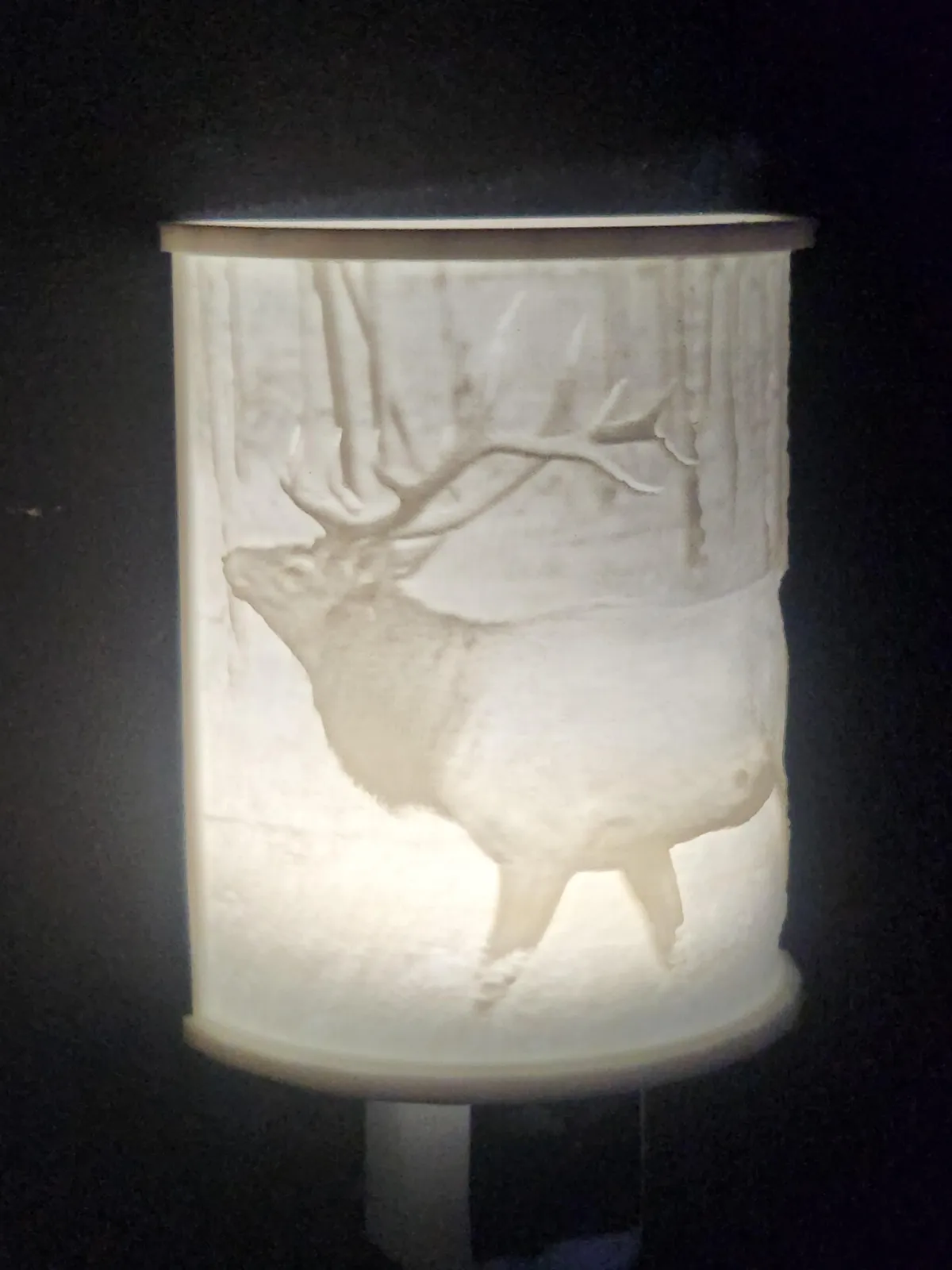 light-the-night-lights-Elk