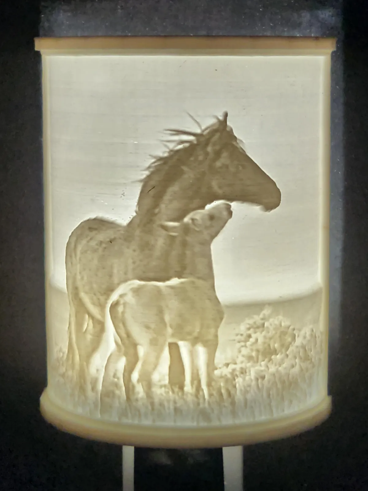 light-the-night-lights-Horse