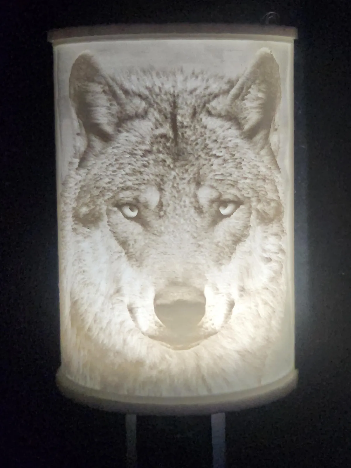 light-the-night-lights-Wolf