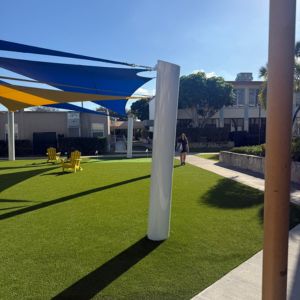 Land Clearing College Station