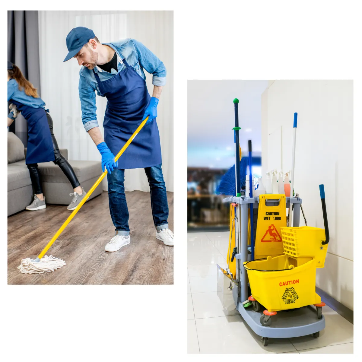 Sűrű zöld erdő magas fákkal, természetes fényben.