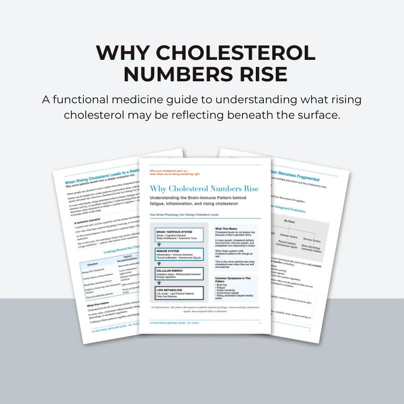 Preview of the “Why Cholesterol Numbers Rise” guide by Dr. Pucci