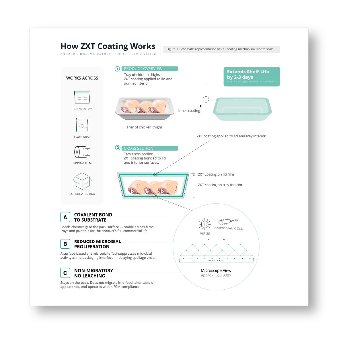 ZXT coating process technical infographic design