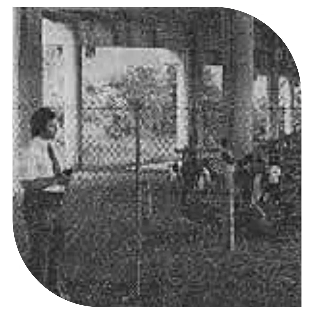 Friends of the Lowline History 1976