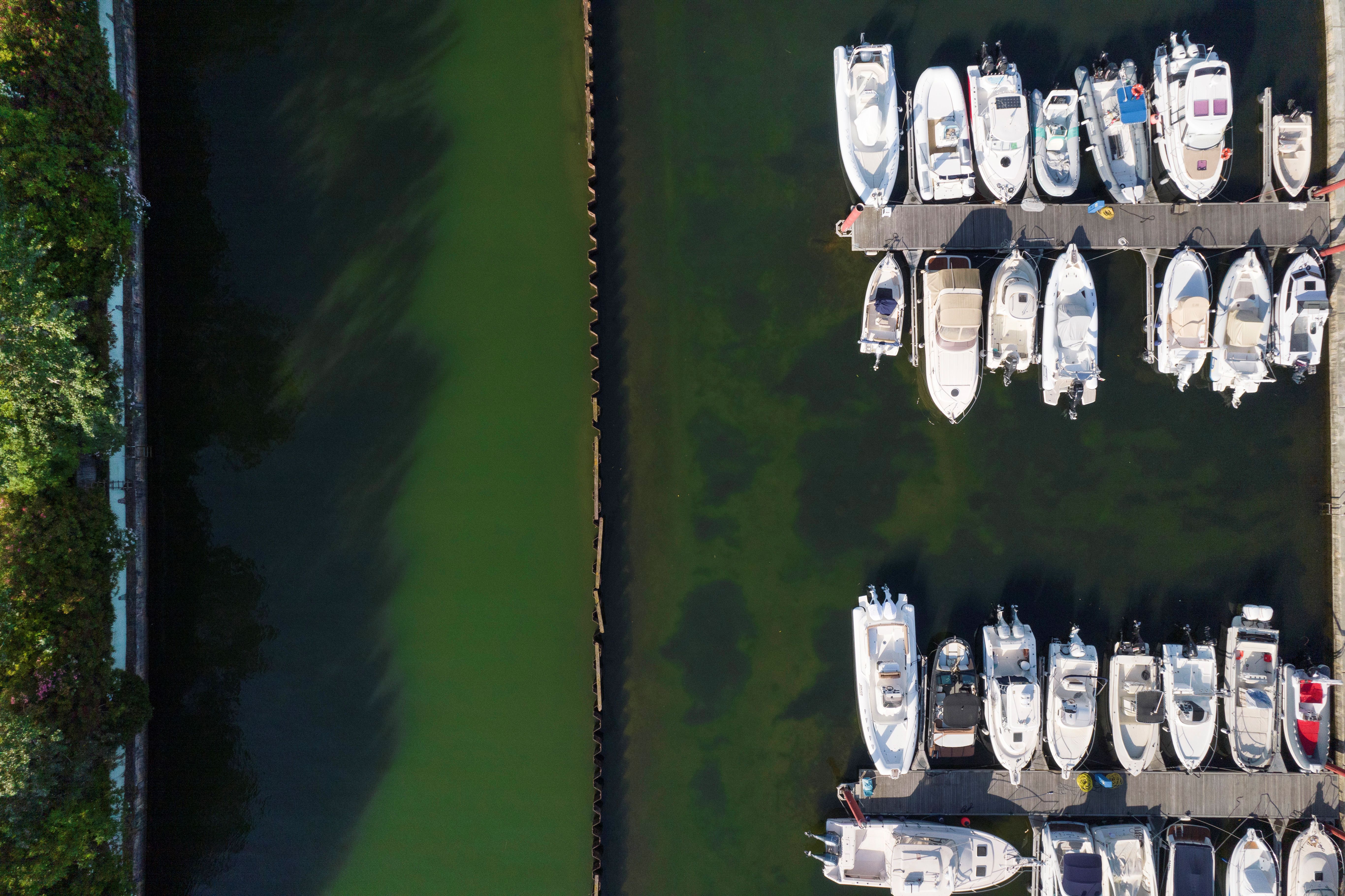 The "Boater’s Paradise" Report: Comparing Dockage and Deep-Water Access Across Pinellas enclaves.