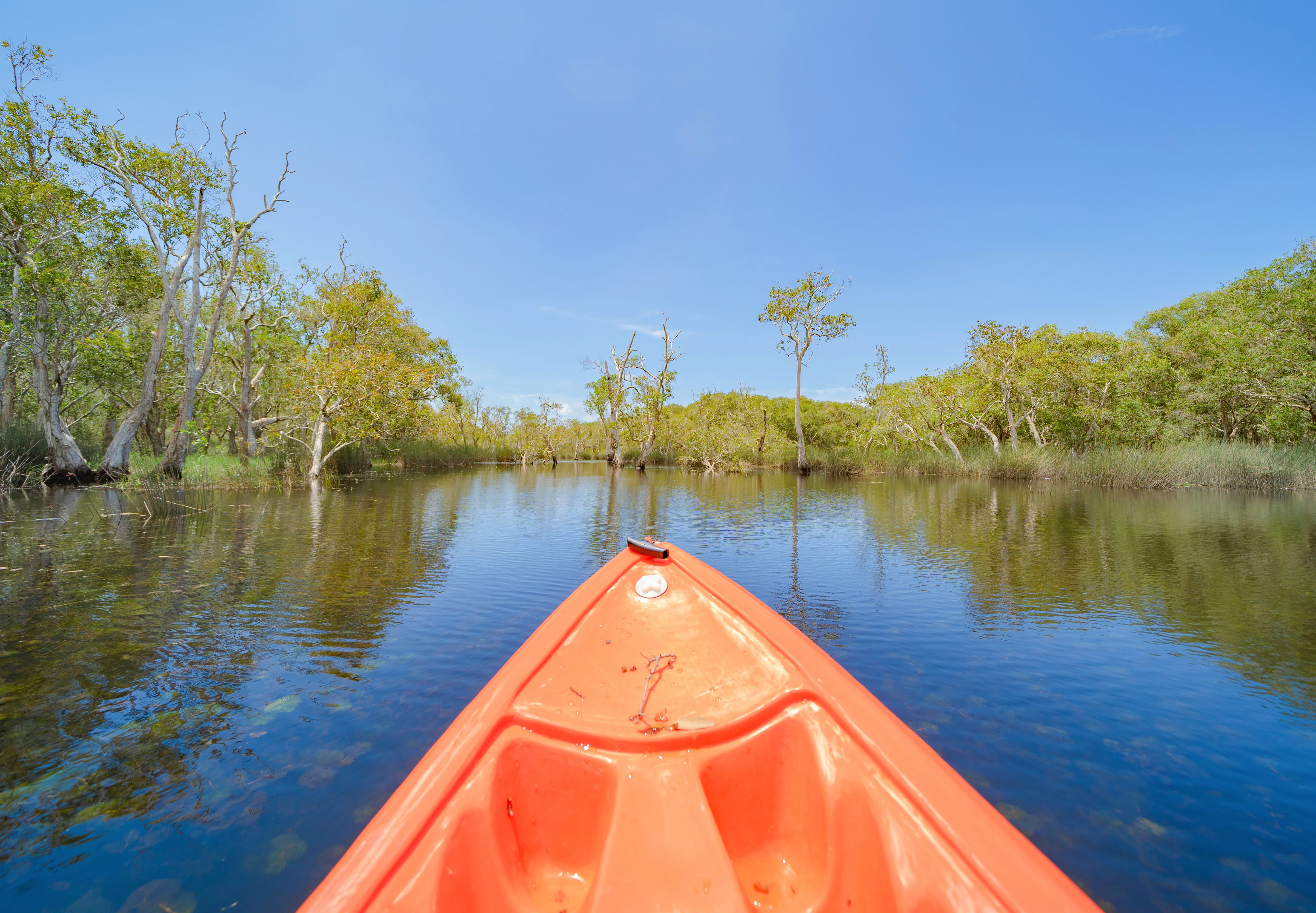 From Boots to Flip-Flops: The Veteran’s Guide to the Best "Off-the-Grid" Spots in Pinellas.