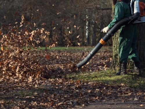 Leaf Removal in Renton
