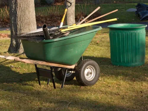 Lawn Cleanup in Renton