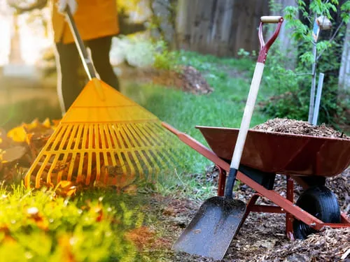 Seasonal Cleanup in Renton