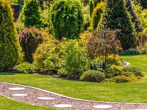 Lawn Maintenance in Renton