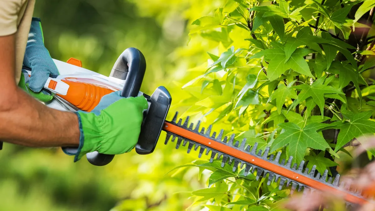 Lawn Mowing