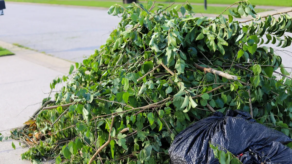 Fairwood Yard Cleanup