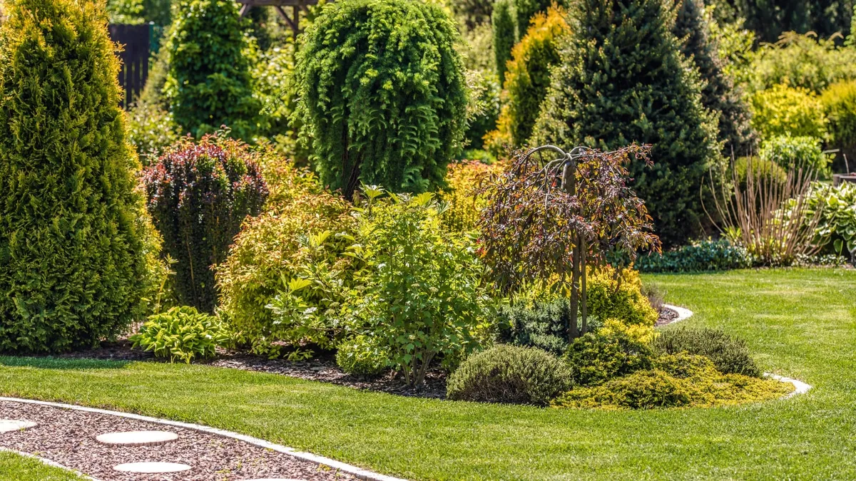 Fairwood Hedge Trimming